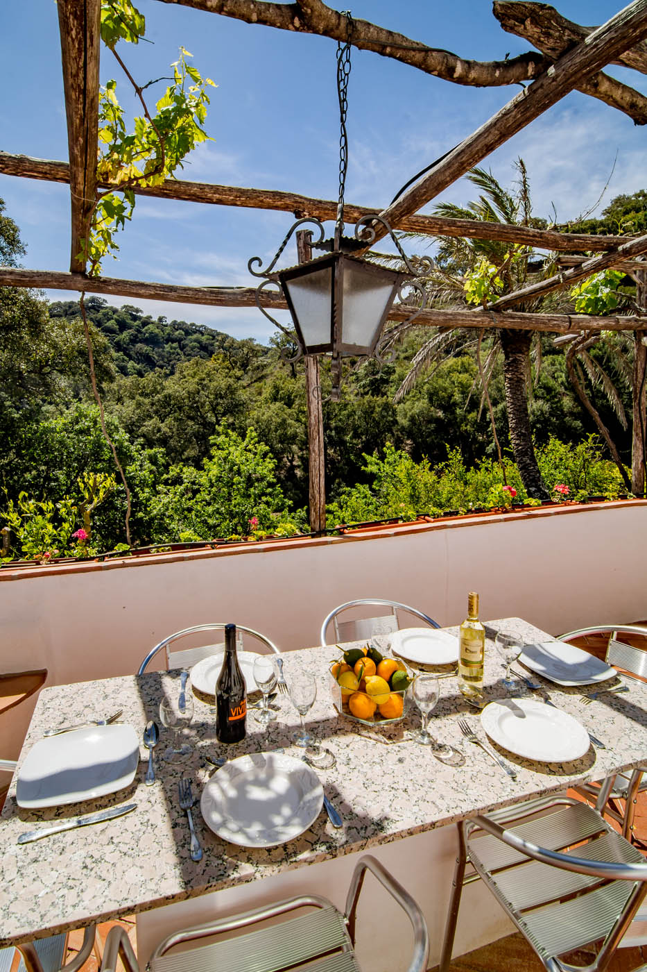 Vine shade at front terrace